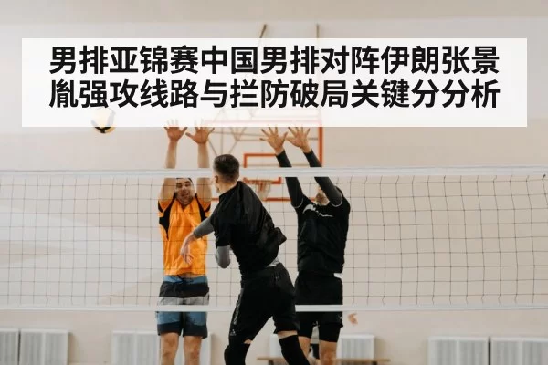 volleyball block net